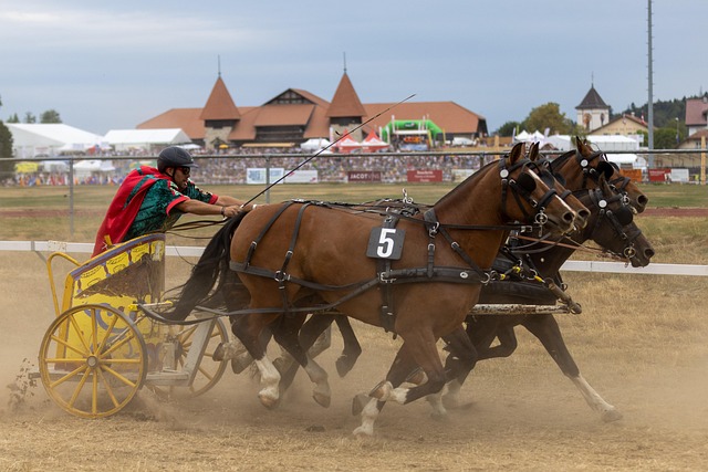 U20亚洲杯-澳大利亚2-0日本挺进决赛 将与沙特争夺冠军.